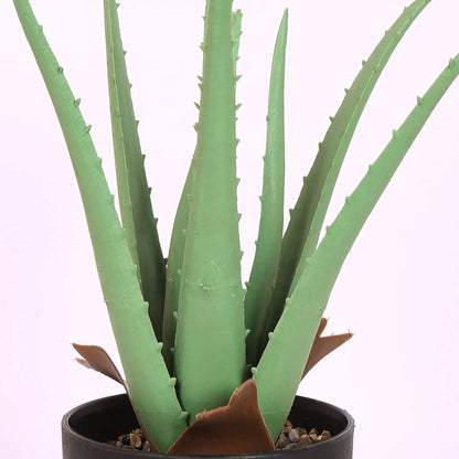 Faux Aloe Vera Bonsai Plant With Black Pot - Artificial Plant