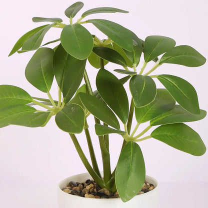 Schefflera Bonsai Artificial Plant with Pot - Home Decor