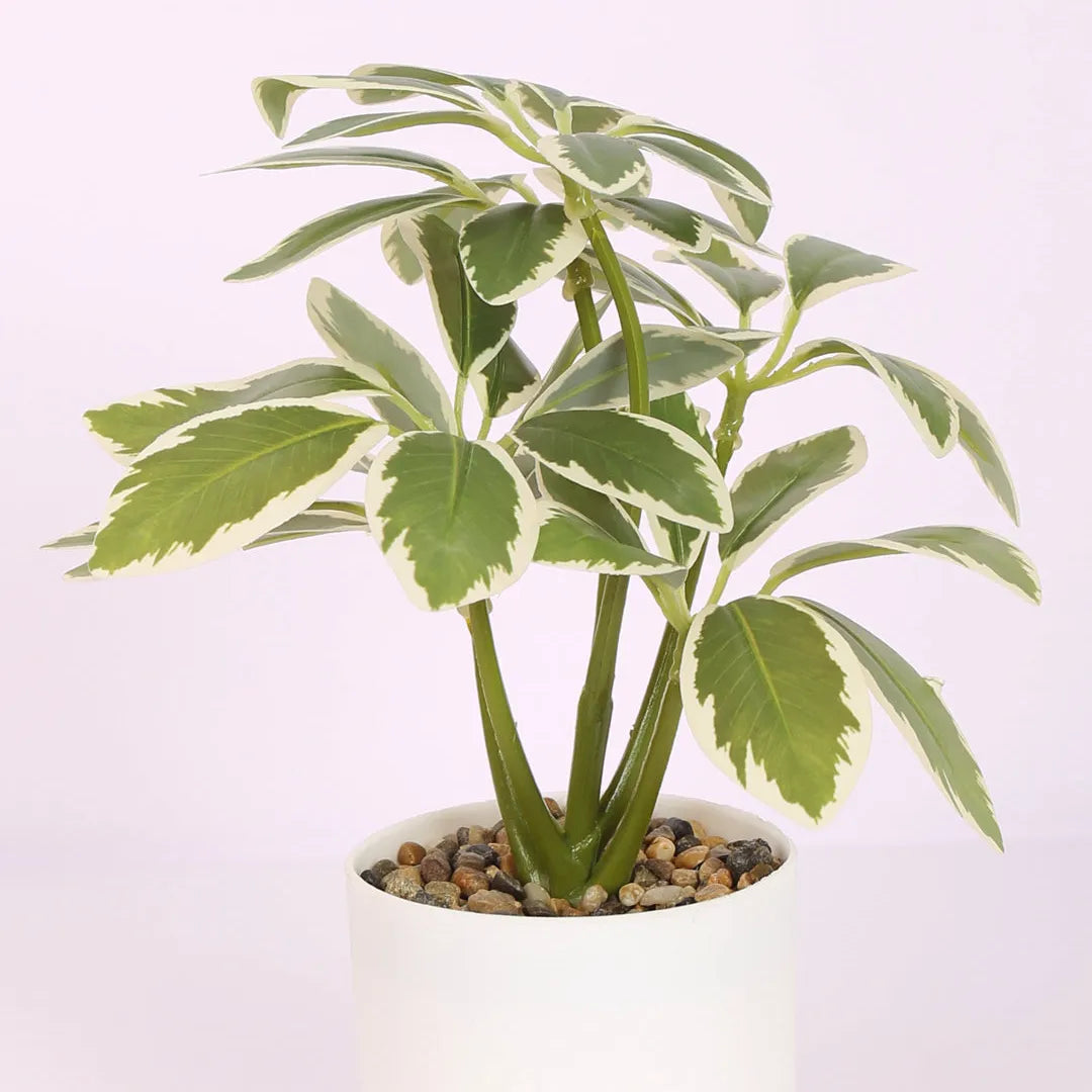 Schefflera Bonsai Artificial Plant with Pot - Home Decor