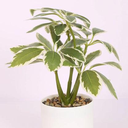 Schefflera Bonsai Artificial Plant with Pot - Home Decor