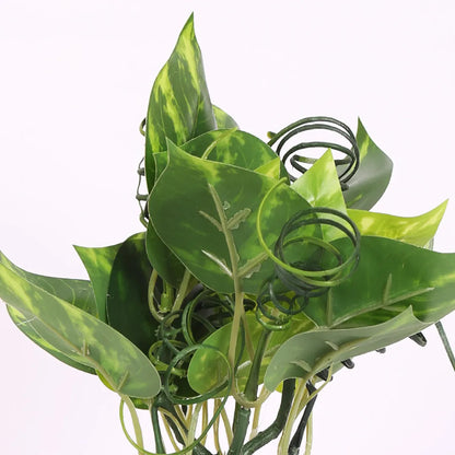 Faux Bonsai Money Plant with Black Pot - Artificial Plant