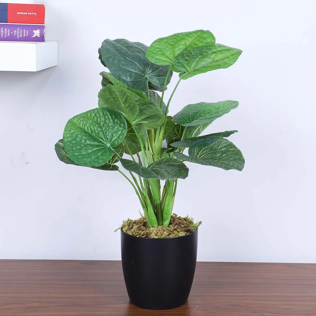 Money Monstera Potted Plant for Decor - Artificial Plant