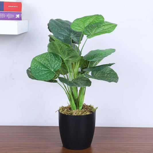 Money Monstera Potted Plant for Decor - Artificial Plant
