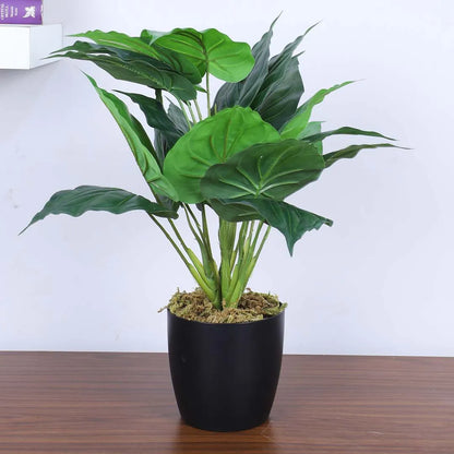 Money Potted Plant for Interiors - Artificial Plant