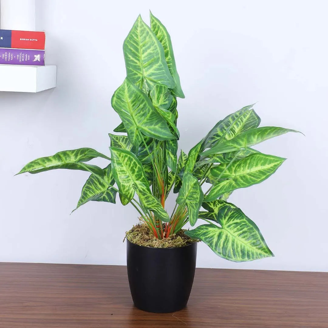 Caladium Leaf Potted Plant - Artificial Plant
