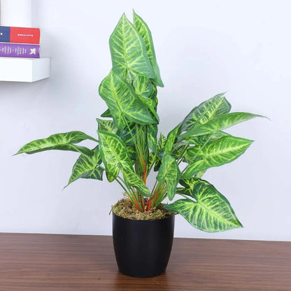 Caladium Leaf Potted Plant - Artificial Plant