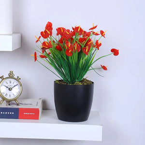 Table Top Plants<br>(Less than 1ft)