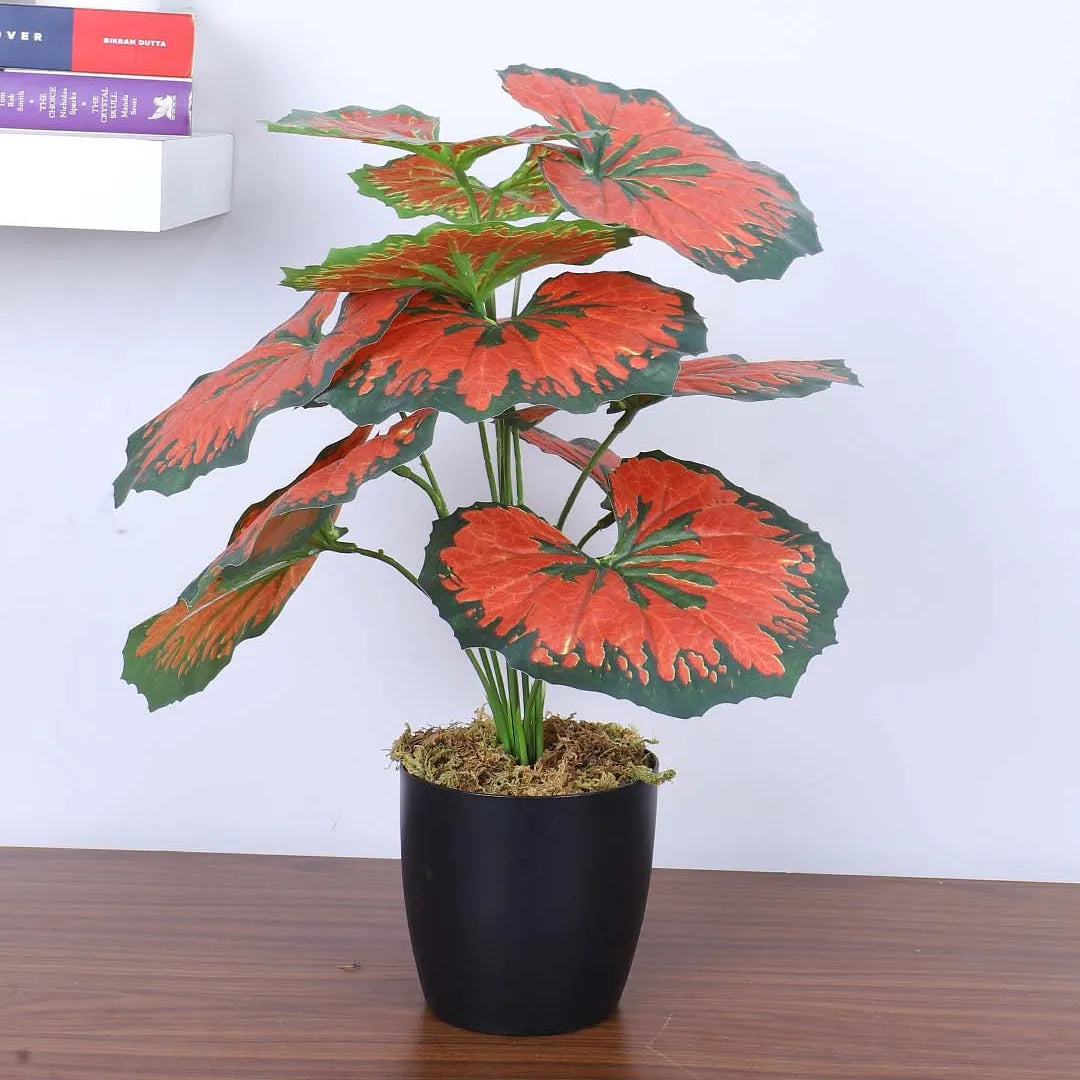 Tropical Rubber Plant with Pot - Artificial Plant