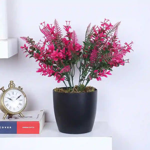 Small Plants<br>(1-2 ft)