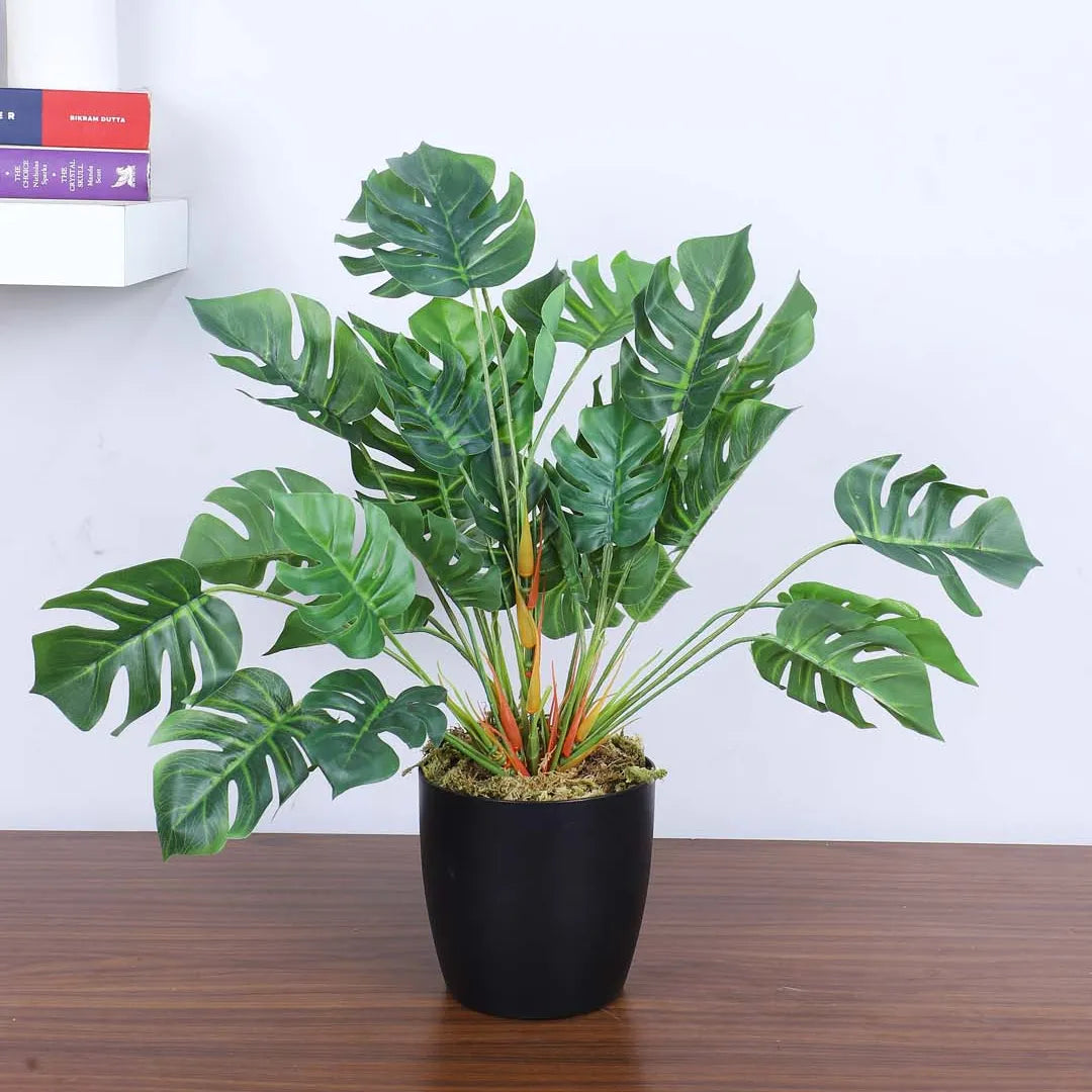 Tropical Monstera Potted Plant - Artificial Plant