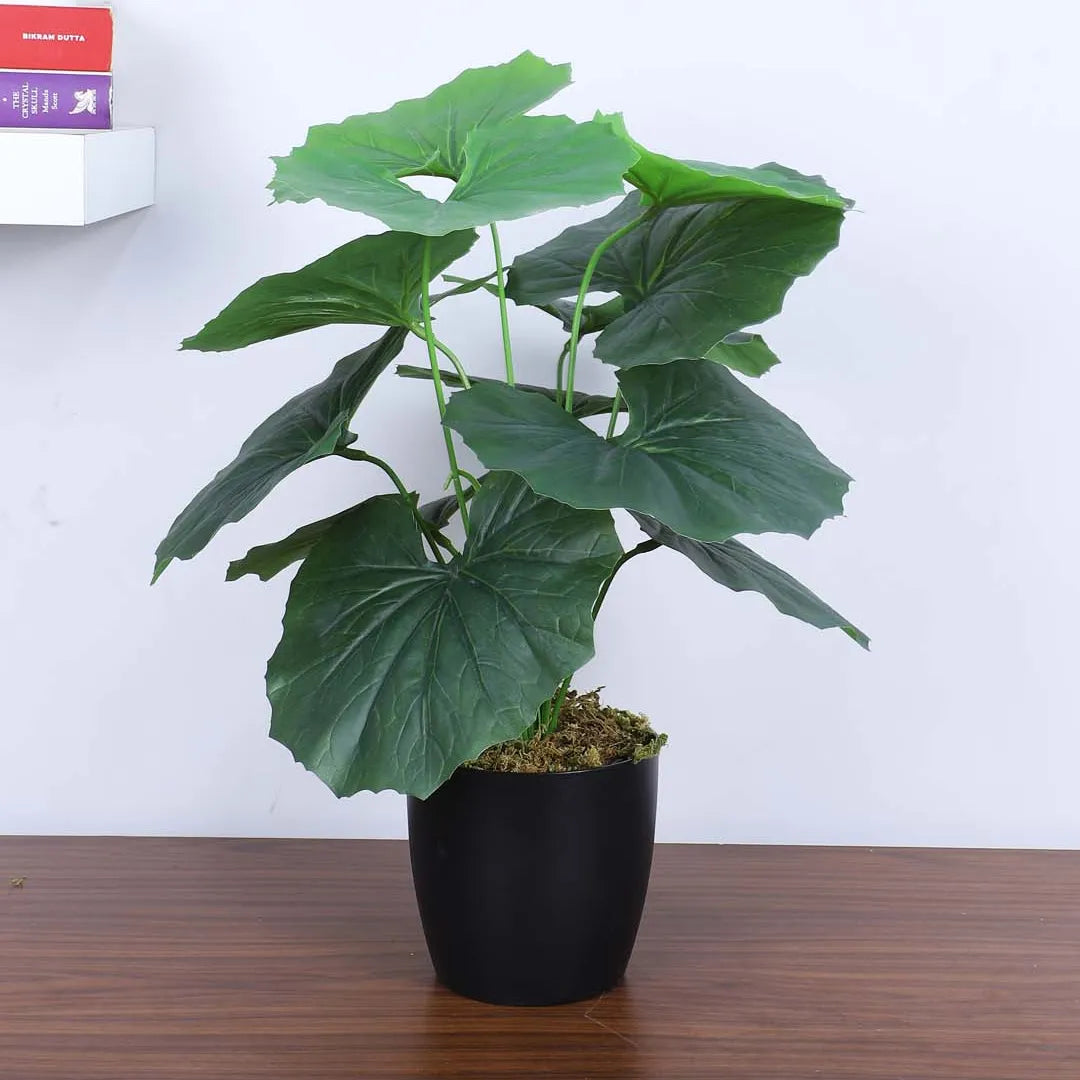 Tropical Rubber Plant with Pot - Artificial Plant