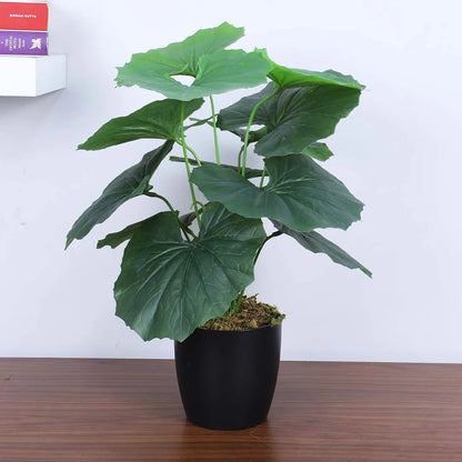 Tropical Rubber Plant with Pot - Artificial Plant