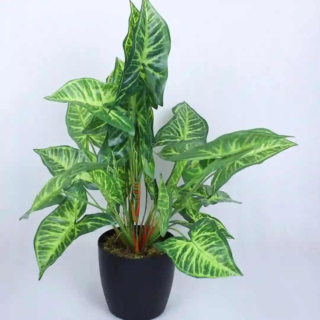 Caladium Leaf Potted Plant - Artificial Plant