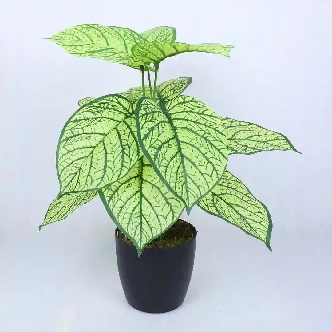 Faux Dieffenbachia Plant with Pot - Artificial Plant