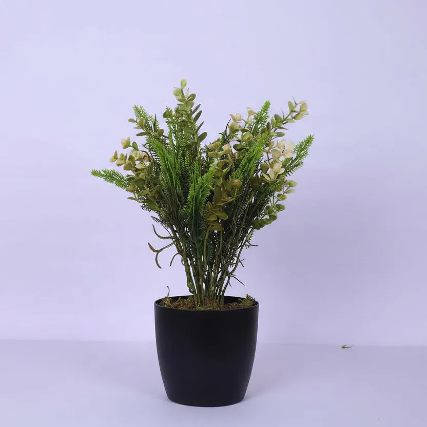 Eucalyptus Potted Plant for Interiors - Artificial Plant