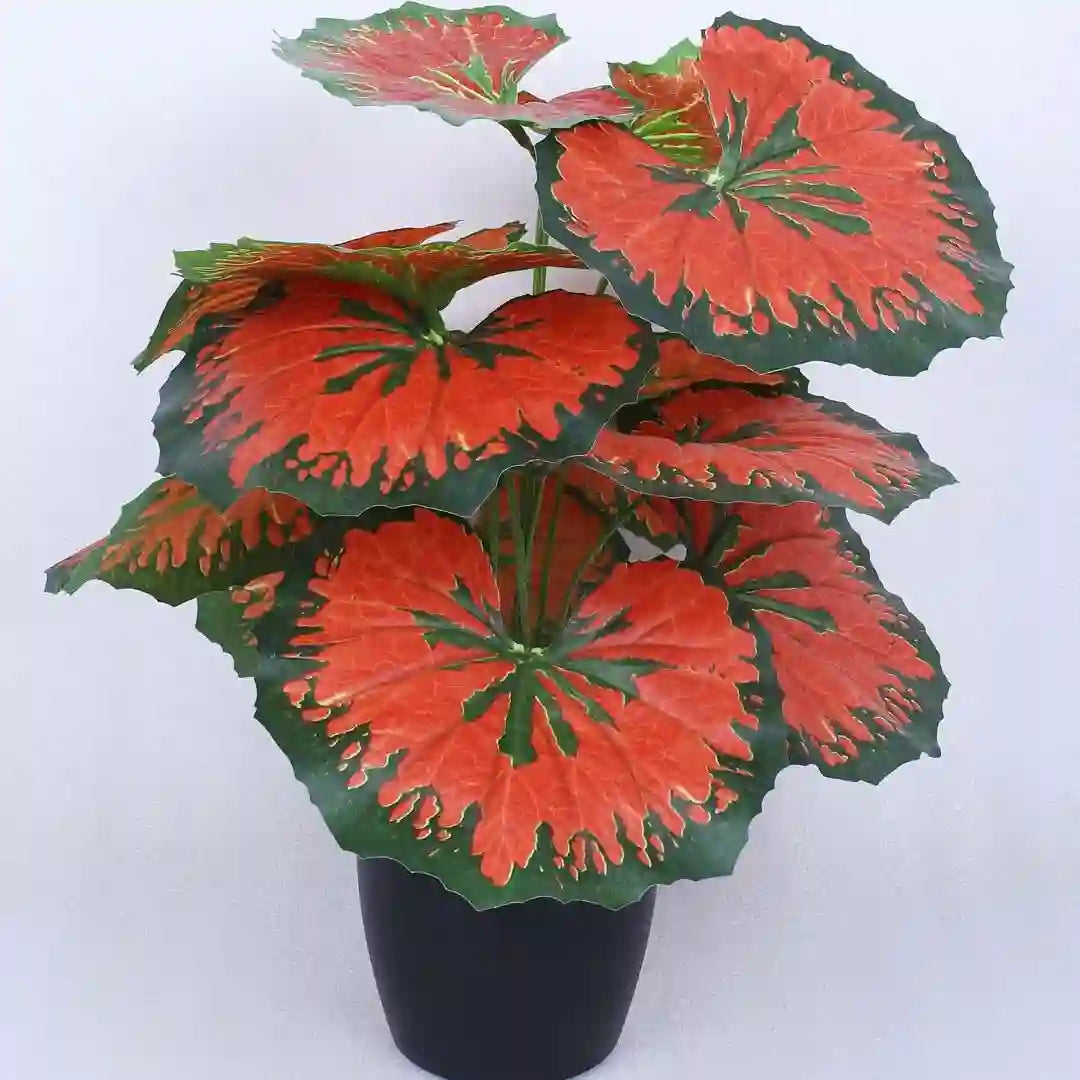 Tropical Rubber Plant with Pot - Artificial Plant