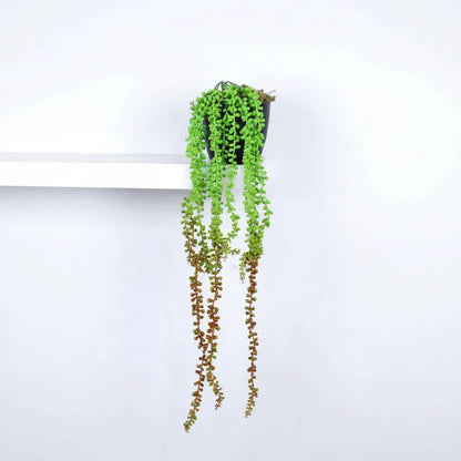 Hanging Eucalyptus Plant with Pot for Living spaces - Artificial Plant