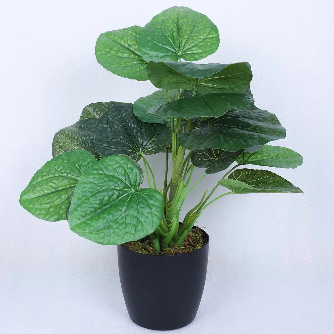 Money Monstera Potted Plant for Decor - Artificial Plant