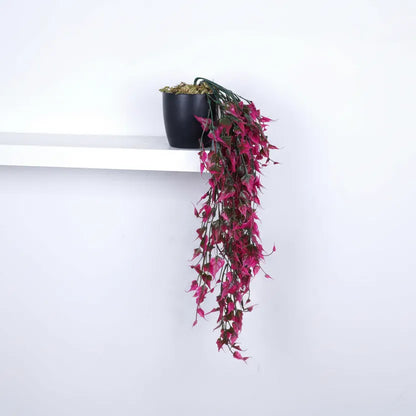 Hanging Plant with Pot for Home Decor - Artificial Plant