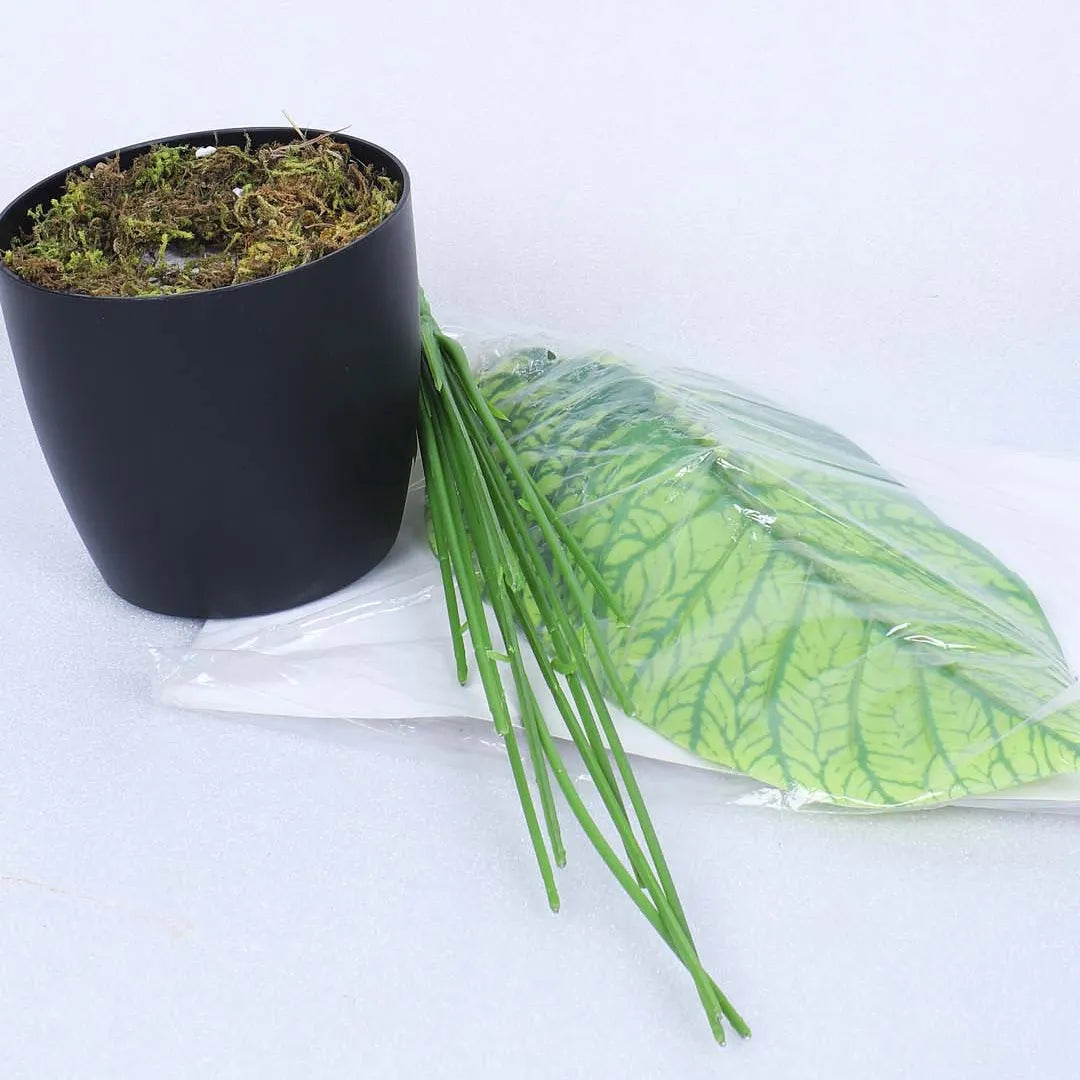 Faux Dieffenbachia Plant with Pot - Artificial Plant