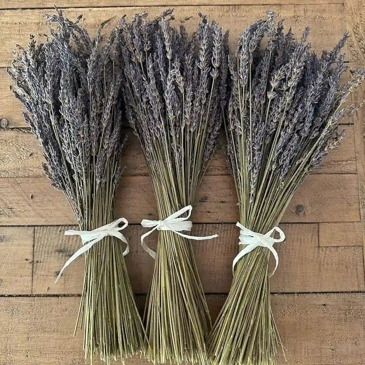 Natural Dried Fragrance Lavender Flower Bunch - 40 Stems