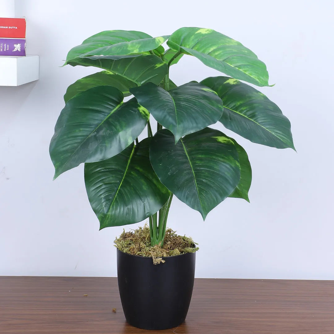 Money Plant with Pot for Decor - Artificial Plant