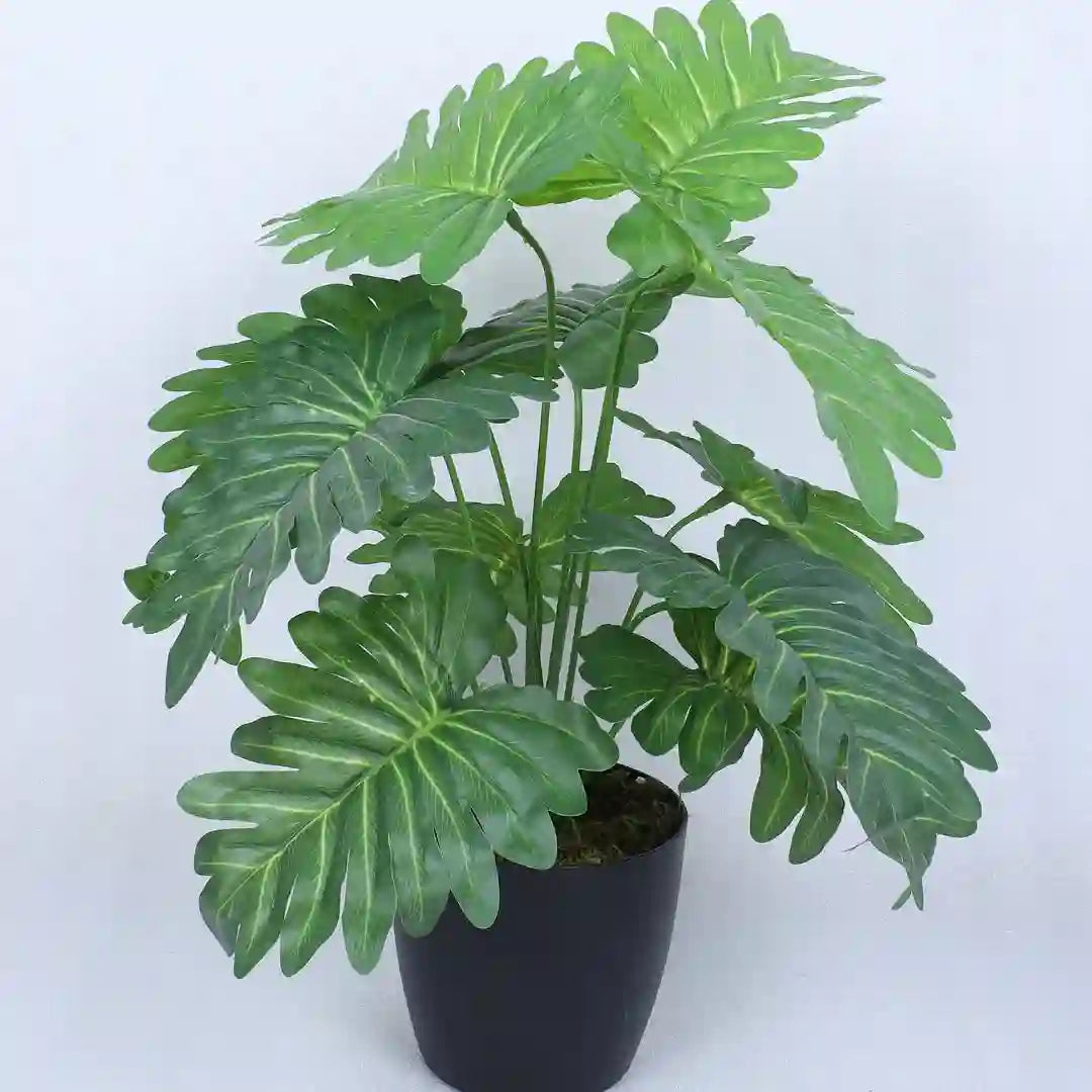 Tropical Philodendron Plant with Pot for Decor - Artificial Plant