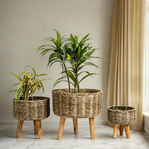 Planters
