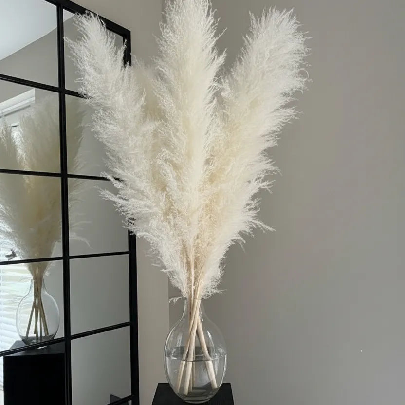 White XL Pampas Grass Stems - Modern Home Decor