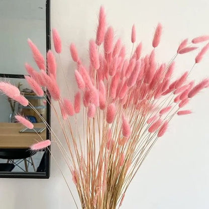 Natural Bunny Tail Dried Flowers for Home Decor