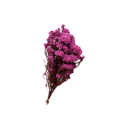 Dried Rice Flower Natural Floral Decor Bunch
