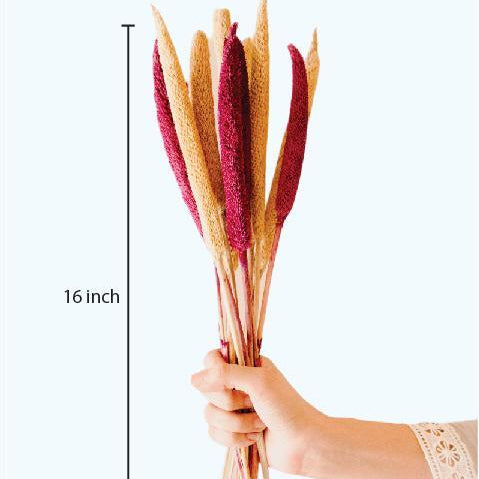 Dual Shade Bazra Mini Sticks - Pink & Natural