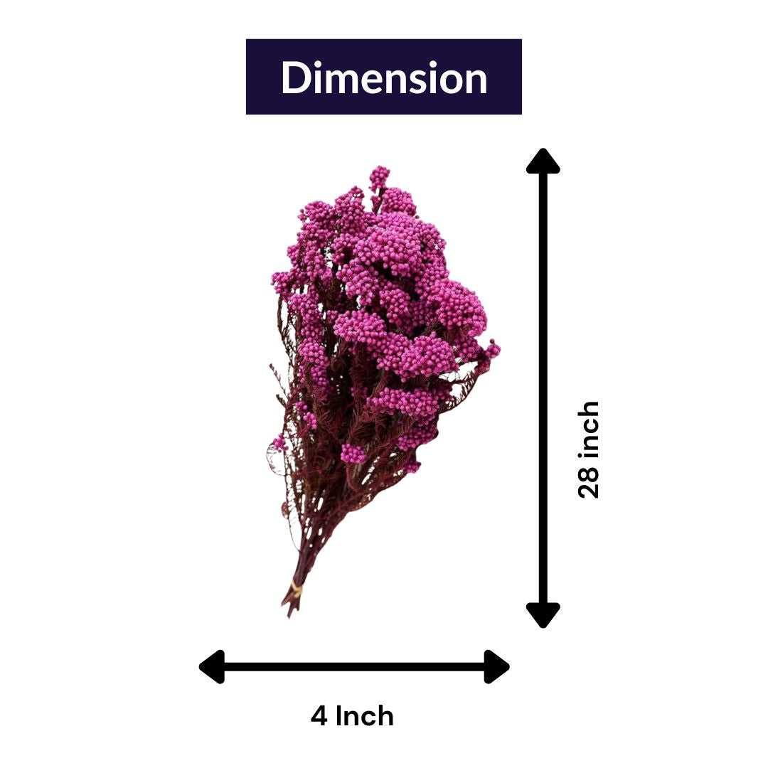 Dried Rice Flower Natural Floral Decor Bunch