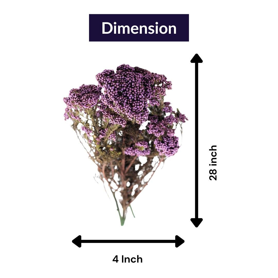 Dried Rice Flower Natural Floral Decor Bunch