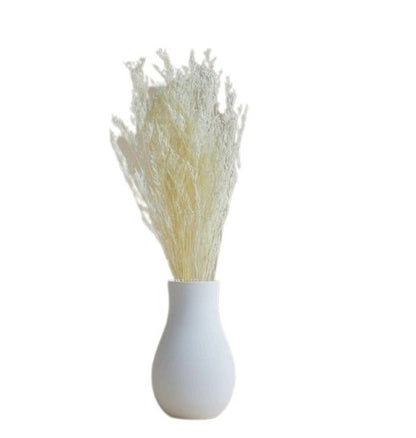 White Lace Dried Limonium Flower Decor Bunch