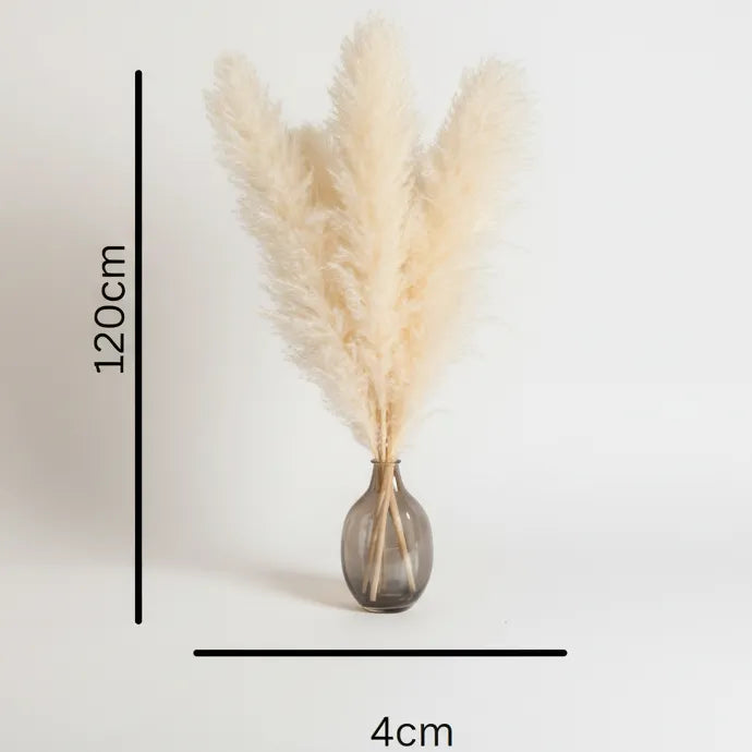 White XL Pampas Grass Stems - Modern Home Decor