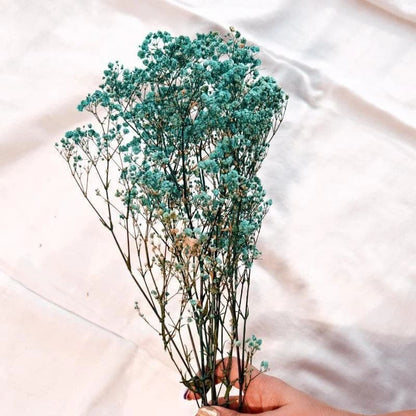 Dried Baby's Breath Flowers Bunch
