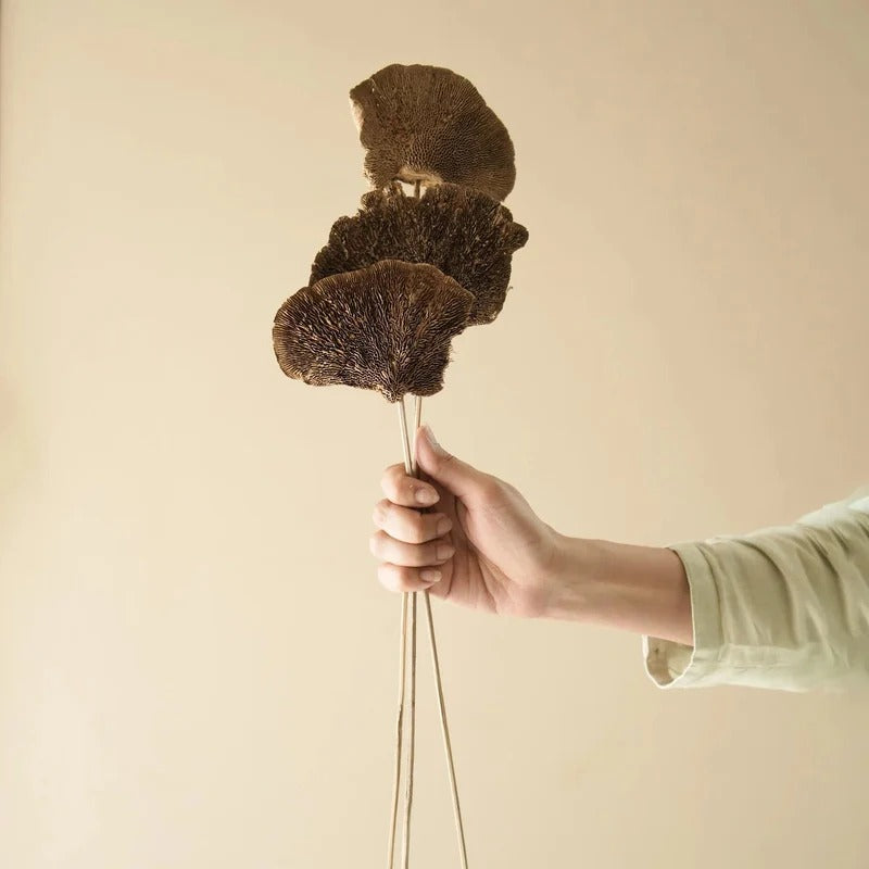 Sponge Mushroom Dried Flower Home Decor