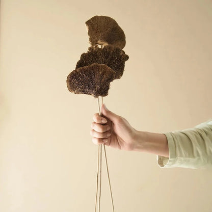 Sponge Mushroom Dried Flower Home Decor