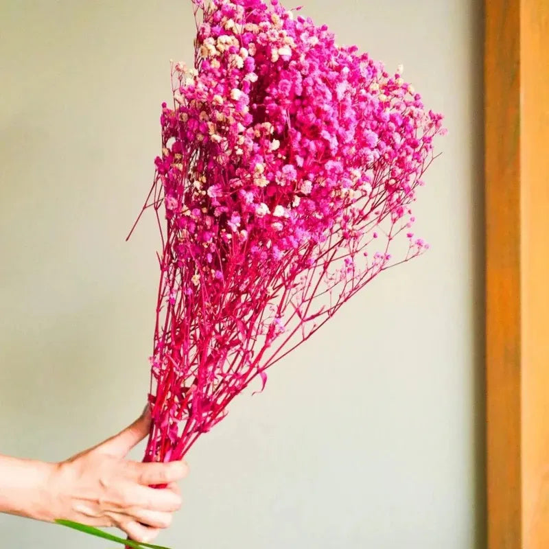 Naturally Dried Baby's Breath Flowers - Home Decor