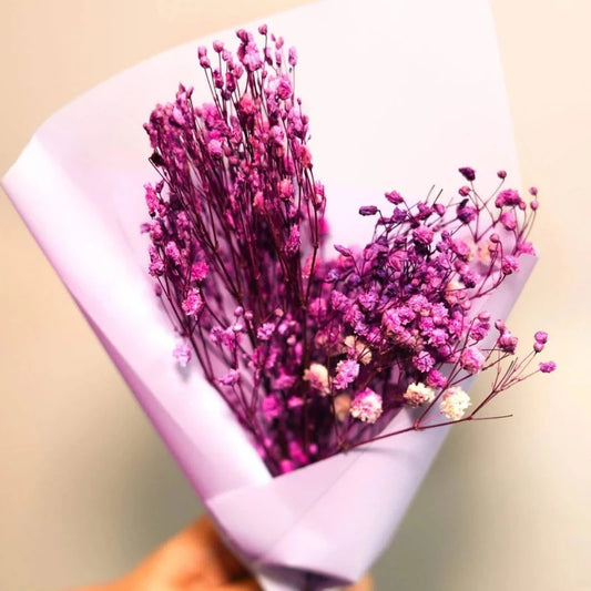 Dried Baby's Breath Flowers Bunch