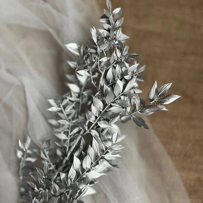 Dried Ruscus Flower Bunch - Home Decor
