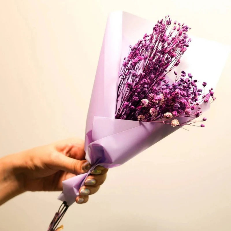 Dried Baby's Breath Flowers Bunch
