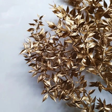 Dried Ruscus Flower Bunch - Home Decor