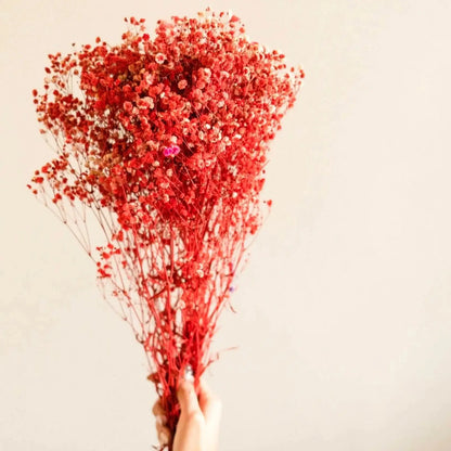 Naturally Dried Baby's Breath Flowers - Home Decor