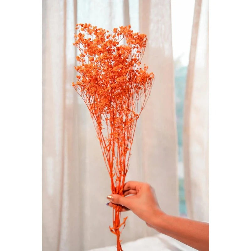 Dried Baby's Breath Flowers Bunch