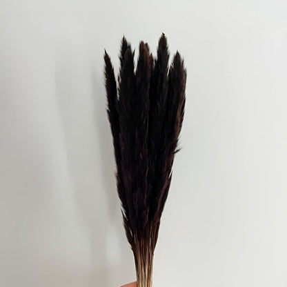 Mini Pampas Grass Stems - 10 Stems