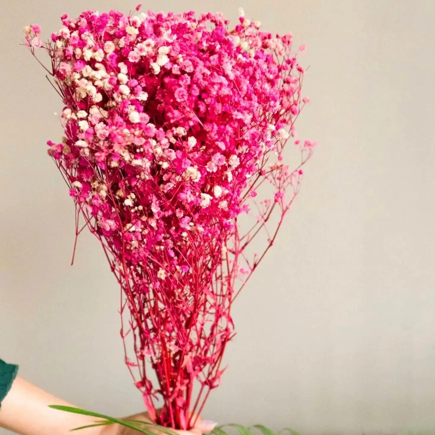 Naturally Dried Baby's Breath Flowers - Home Decor