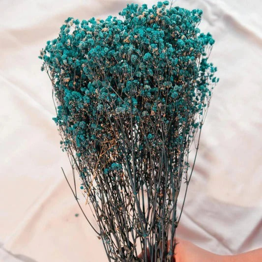 Dried Baby's Breath Flowers Bunch
