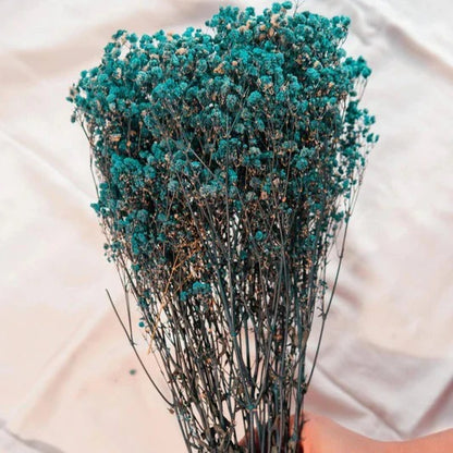 Dried Baby's Breath Flowers Bunch
